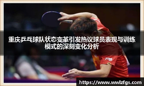 3377体育官网入口